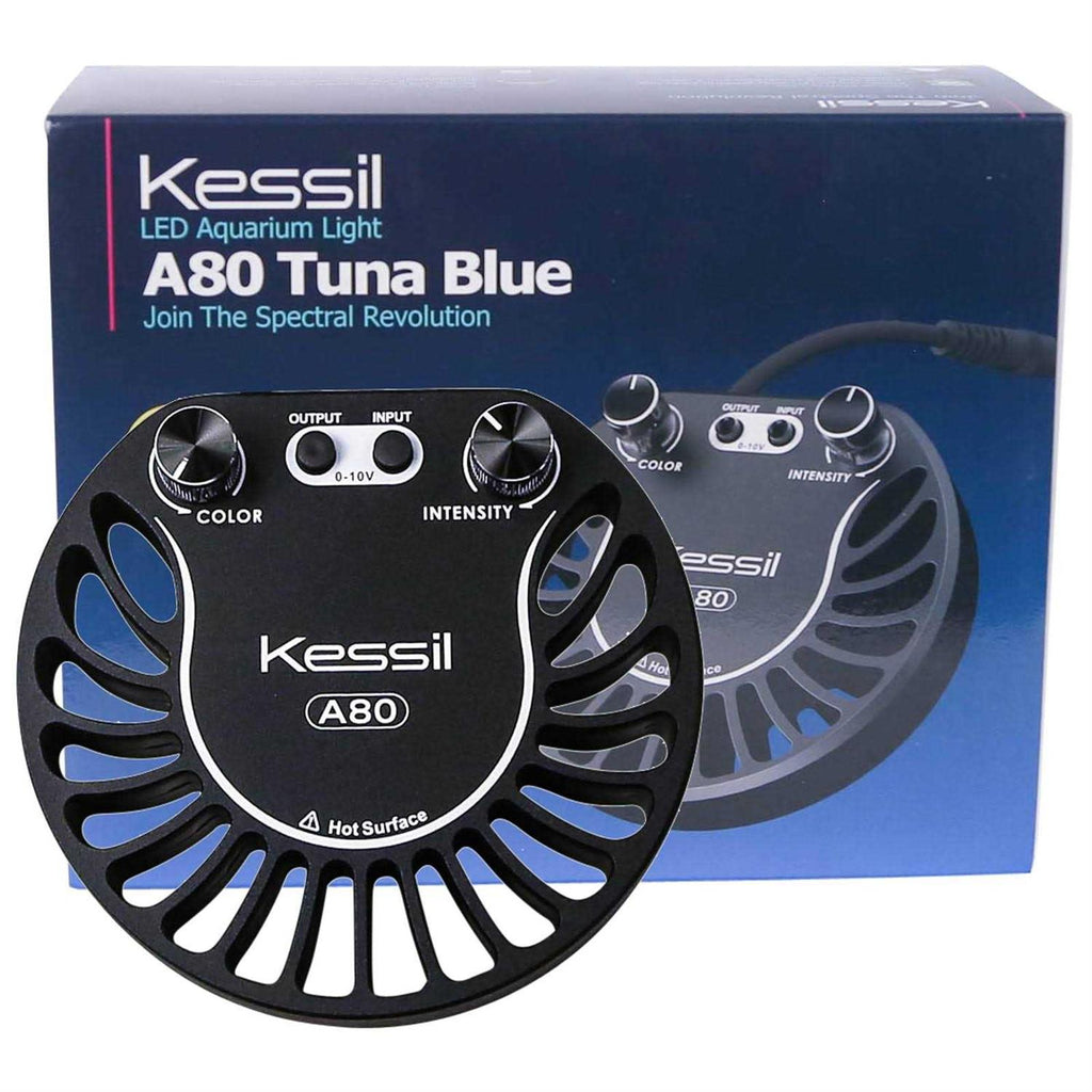 A80 Tuna Blue LED Light A18517