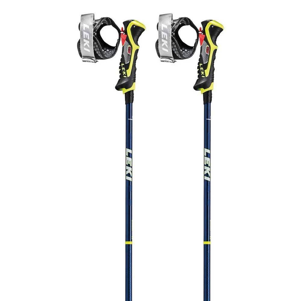 Ski Poles P6144