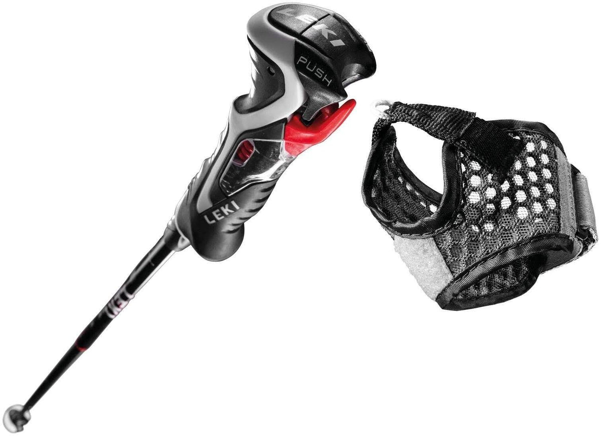Ski Poles P6144