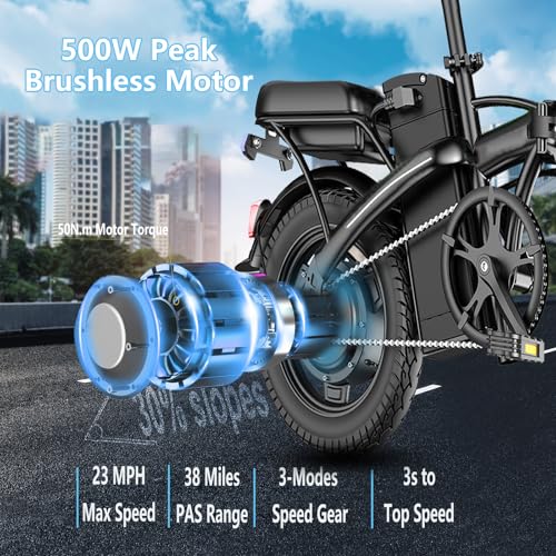 Folding Electric Bike 500W 48V 12AH X195