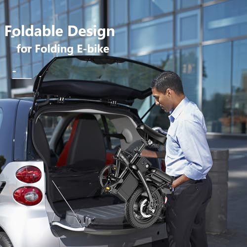 Folding Electric Bike 500W 48V 12AH X195
