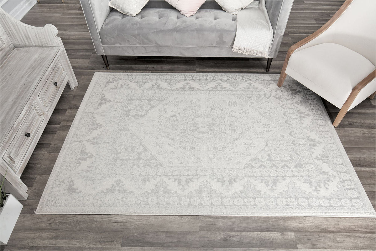 Grey Mist Vintage Transitional Area Rug D849