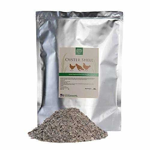 Flaked Oyster and Seashell Pet Supplies T529