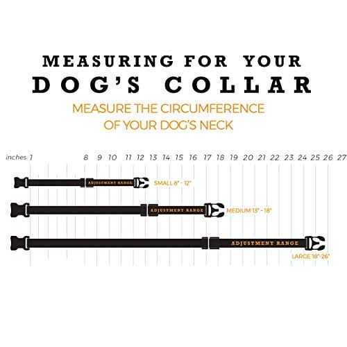 Dog Collar Q5184