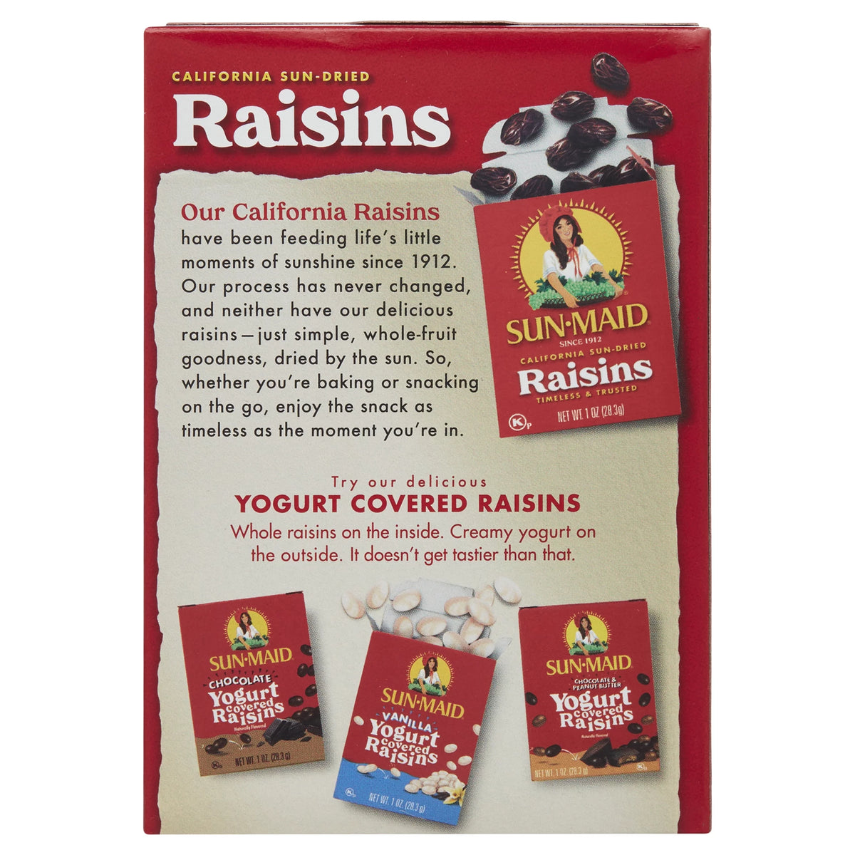 Dried Raisins 12 oz D902473