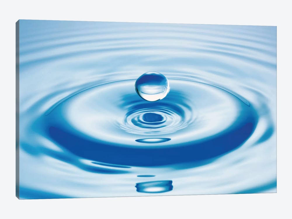 Canvas Wall Decor Prints R7171