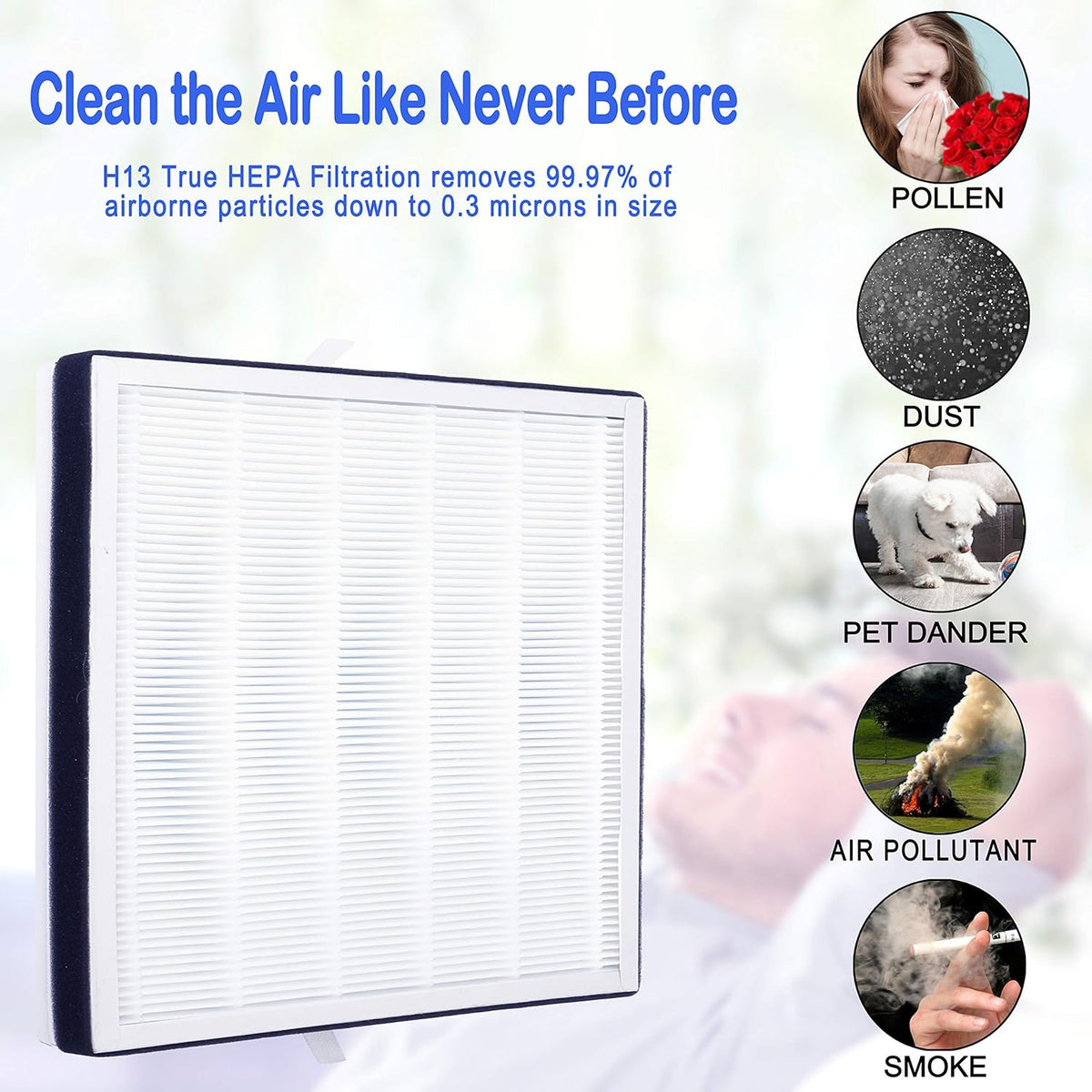 True HEPA Replacement Filter, H13 Grade, 1-Pack Pack of 2 D11058
