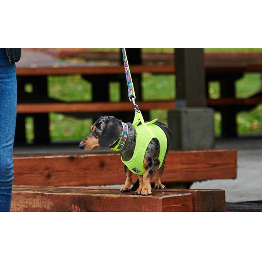 Step in Dog Harness F853