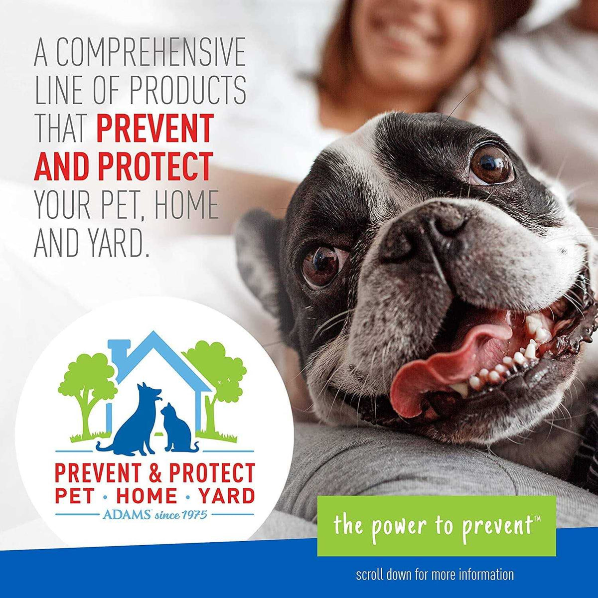 Flea & Tick Collar for Dogs B207