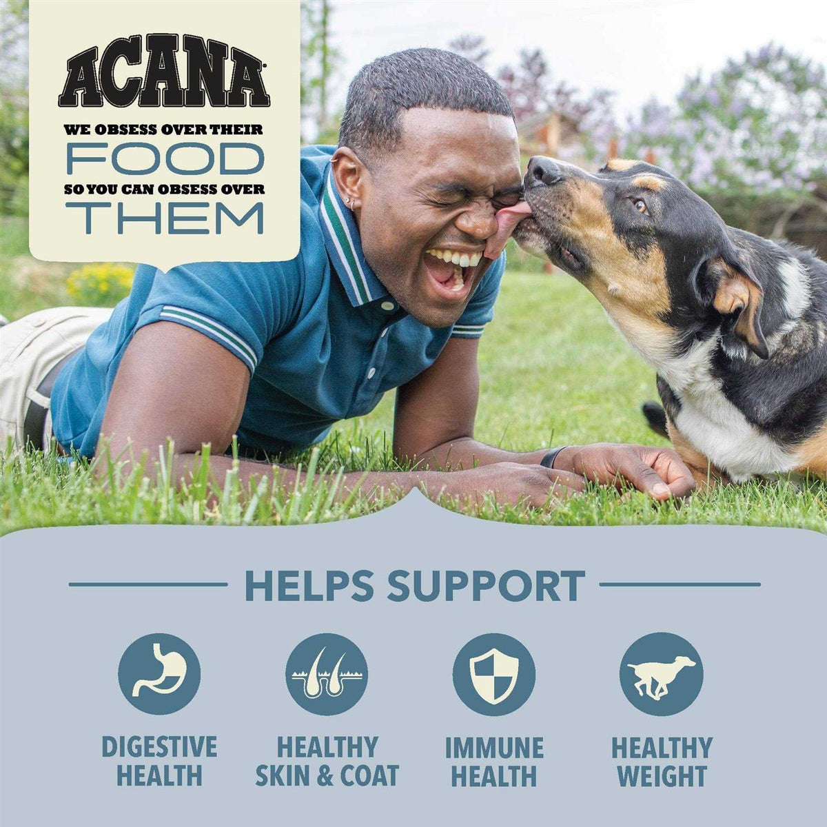 Dry Dog Food Z96044