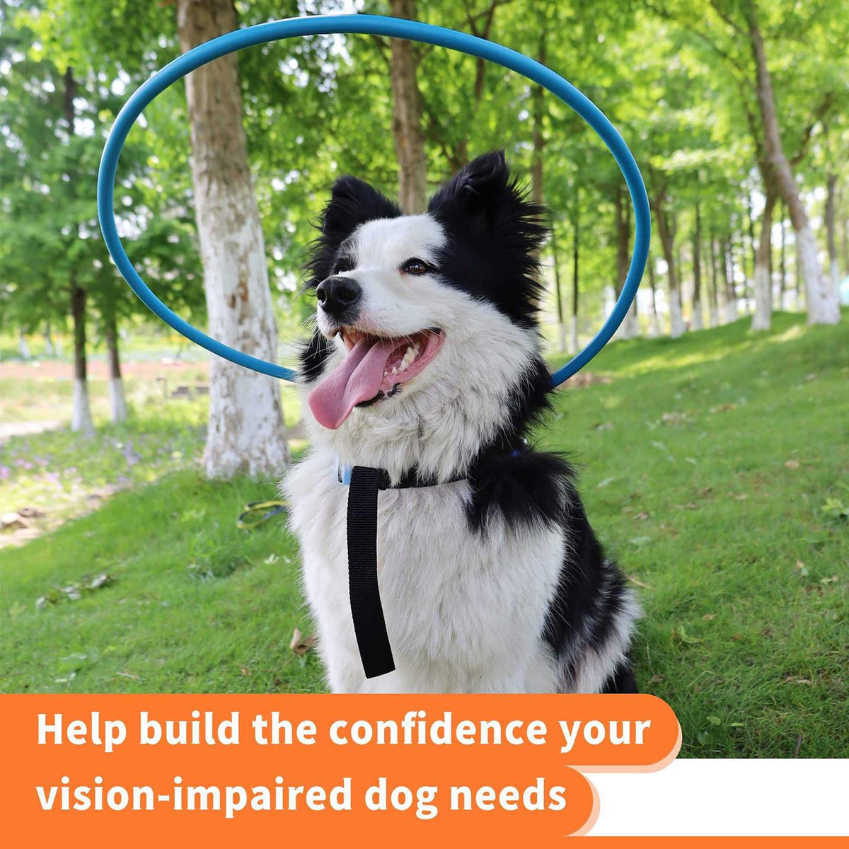 Blind Dog Harness Guiding Device V6783
