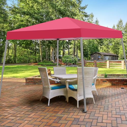 10X10 FT Pop Up Canopy Tent with Carrying Bag Q3862
