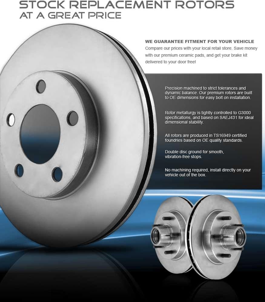 302mm Solid 5 Lug Rear Rotors V788930