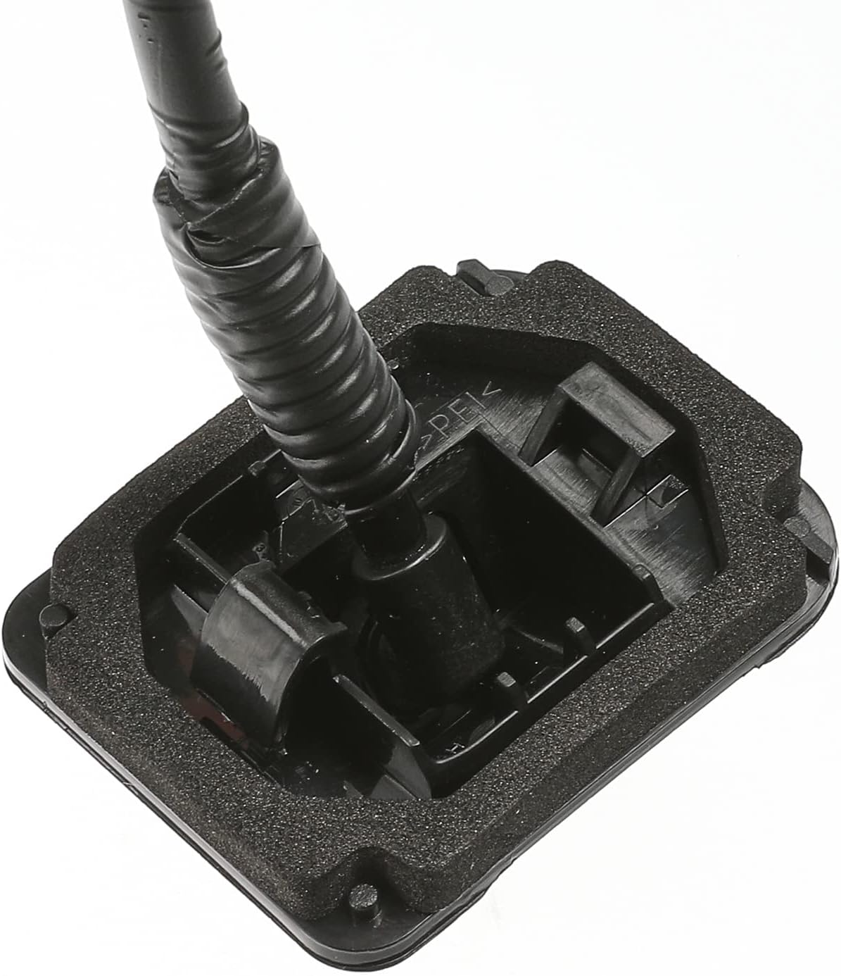 Rear View Back Up Camera Pack of 2 Q94420