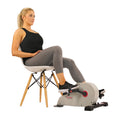 Magnetic Mini Exercise Bike A2015