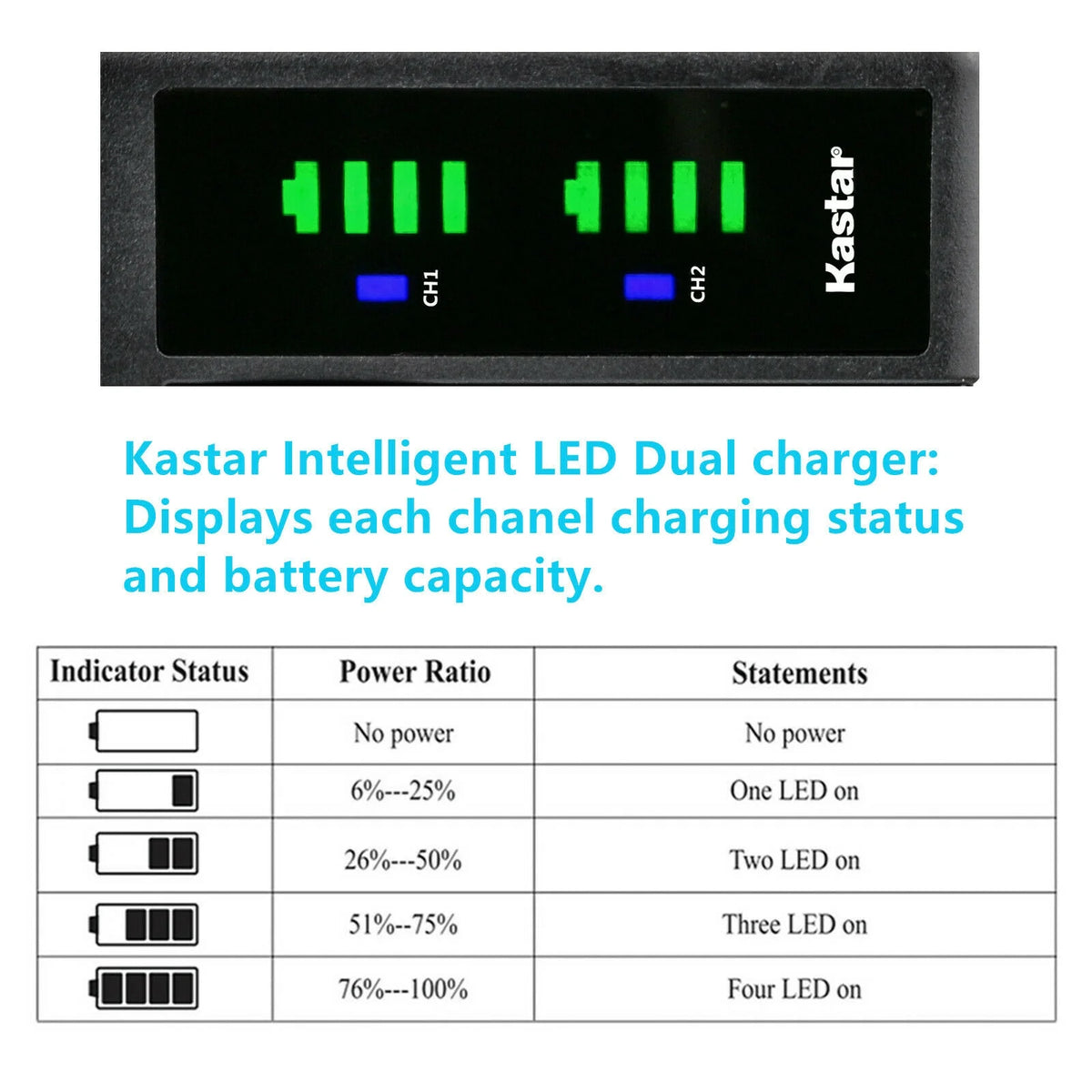 3-Pack Battery and USB Charger for Lumix Cameras M68086