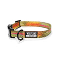 Dog Collar Q5184