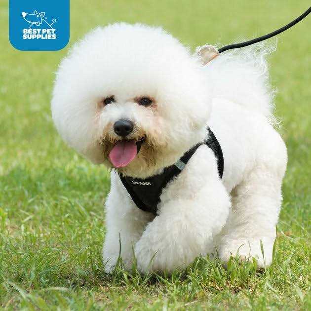 Step-In Plush Dog Harness U297