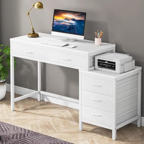 Computer Desk with 5 Drawers L6218