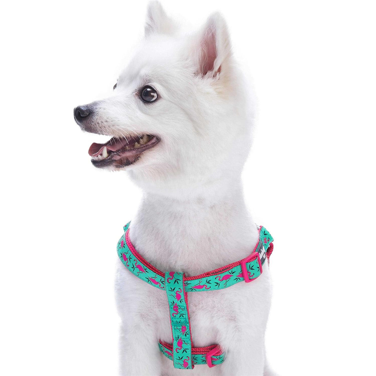 Dog Harness C616