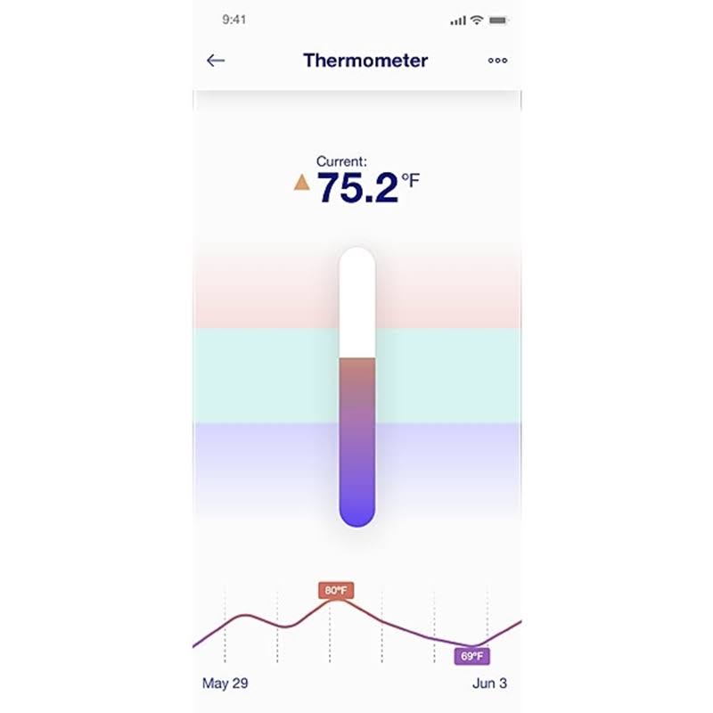 Pond Thermometer T979385