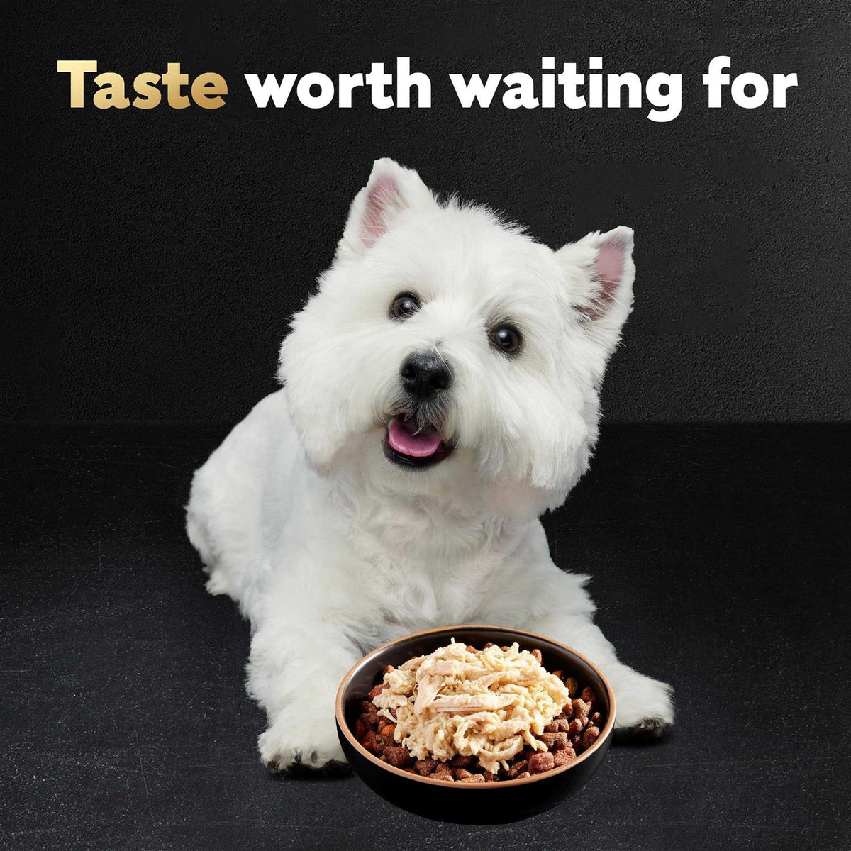 Wet Dog Food Bowls S6242
